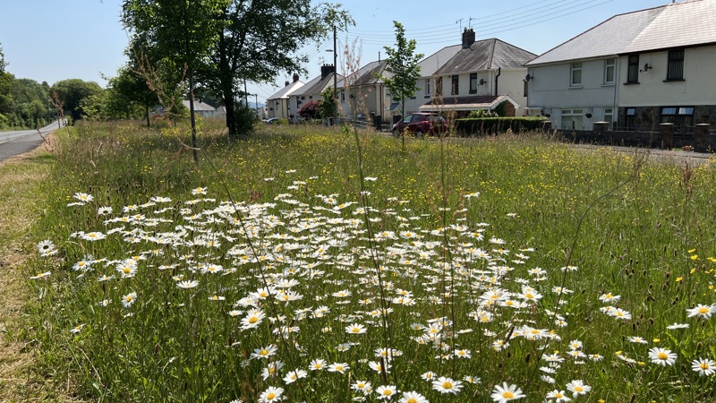 Encouraging biodiversity
