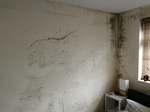 Condensation on wall