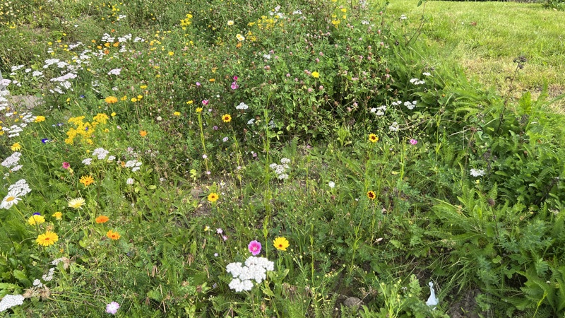 Tai Tarian apprentices