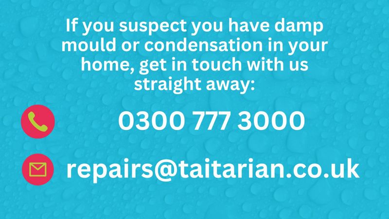 Report damp by calling 0300 777 3000 or emailing repairs@taitarian.co.uk