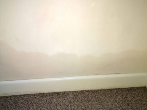 Rising damp on wall